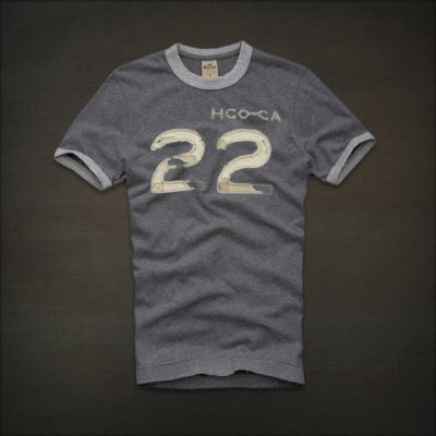 Hollister Men Shirts-440